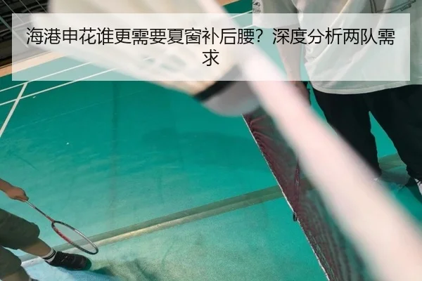 海港申花谁更需要夏窗补后腰？深度分析两队需求