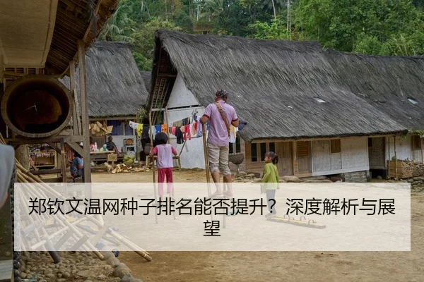 郑钦文温网种子排名能否提升？深度解析与展望